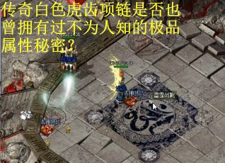 传奇白色虎齿项链是否也曾拥有过不为人知的极品属性秘密？