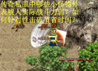传奇私服中哪些小怪物外表唬人实际战斗力弱？如何针对性击破节省时间？