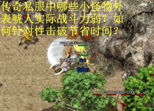 传奇私服中哪些小怪物外表唬人实际战斗力弱？如何针对性击破节省时间？