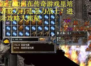 新手如何在传奇游戏里培养毅力打造强力战士？进阶攻略大揭秘