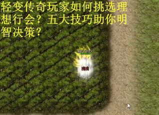 轻变传奇玩家如何挑选理想行会？五大技巧助你明智决策？