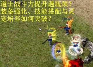道士战斗力提升遇瓶颈？装备强化、技能搭配与灵宠培养如何突破？