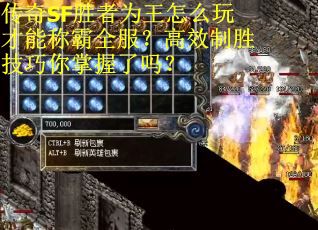 传奇SF胜者为王怎么玩才能称霸全服？高效制胜技巧你掌握了吗？
