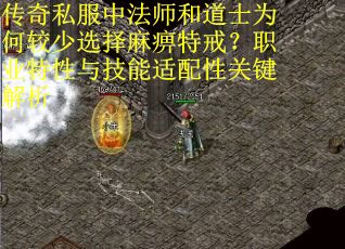 传奇私服中法师和道士为何较少选择麻痹特戒？职业特性与技能适配性关键解析