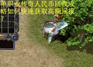 单职业传奇人民币回收攻略如何快速获取高额回报？