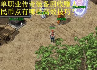 单职业传奇装备回收赚人民币点有哪些高效技巧？
