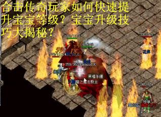 合击传奇玩家如何快速提升宝宝等级？宝宝升级技巧大揭秘？