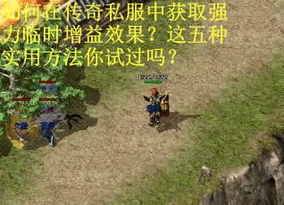 如何在传奇私服中获取强力临时增益效果？这五种实用方法你试过吗？