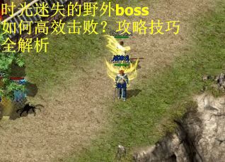 时光迷失的野外boss如何高效击败？攻略技巧全解析
