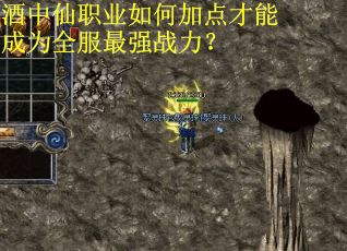 酒中仙职业如何加点才能成为全服最强战力？