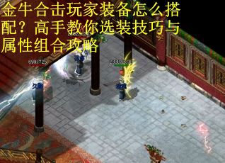 金牛合击玩家装备怎么搭配？高手教你选装技巧与属性组合攻略