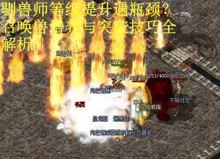 驯兽师等级提升遇瓶颈？召唤兽培养与突破技巧全解析