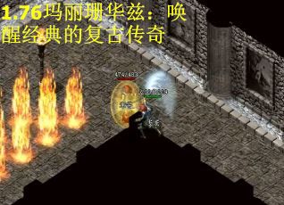 1.76玛丽珊华兹：唤醒经典的复古传奇